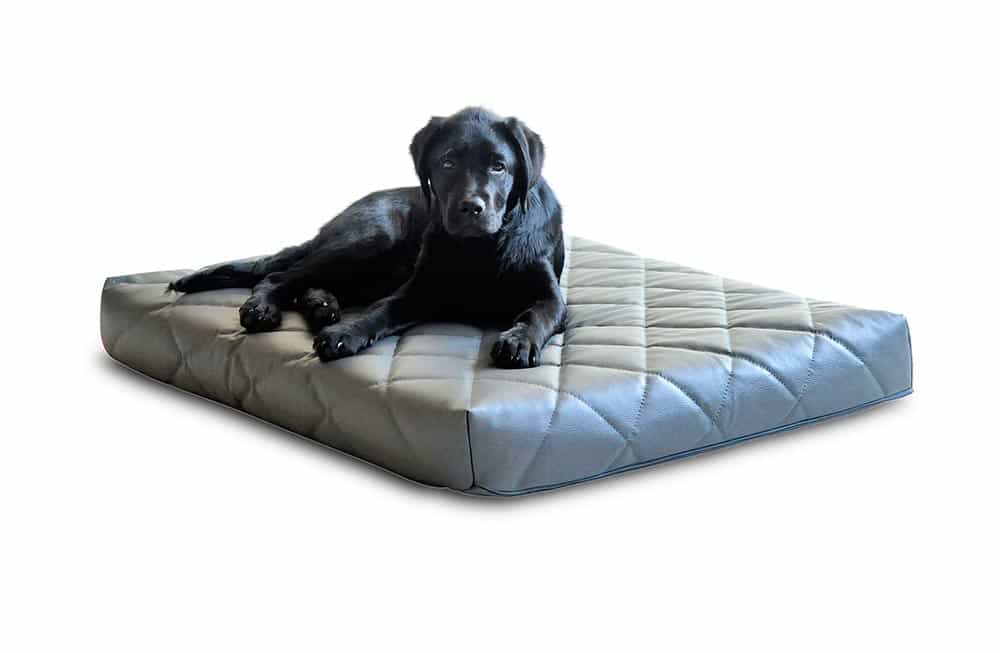 Schwarzer Labrador liegt auf seiner orthopädischen Hundematratze mit gestepptem Kunstlederbezug von pet-interiors.